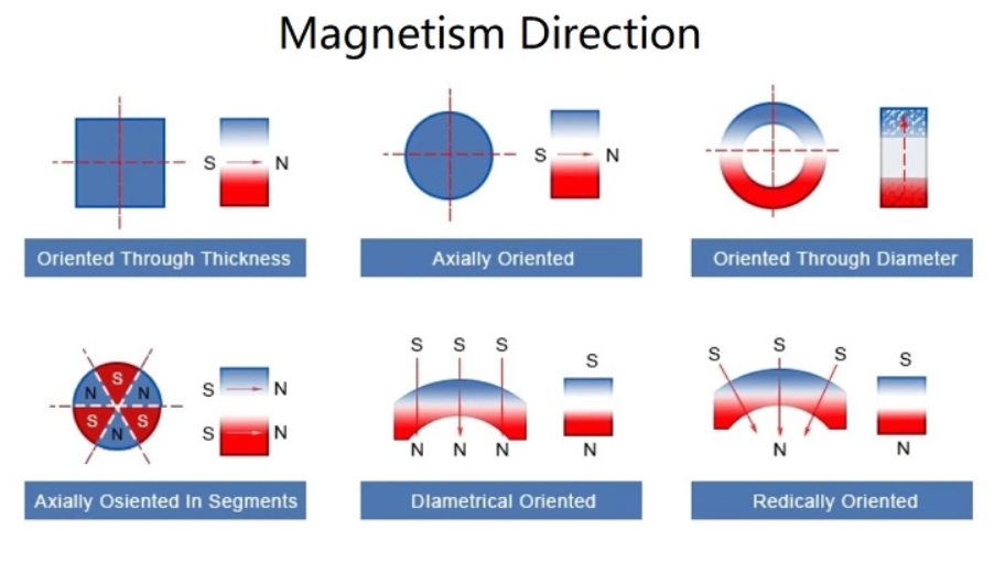 Neodymium magnets Rings - Magfine