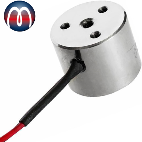 Elektro-Haftmagnet, Elektromagnet freie Anschlüsse 12V - 24V