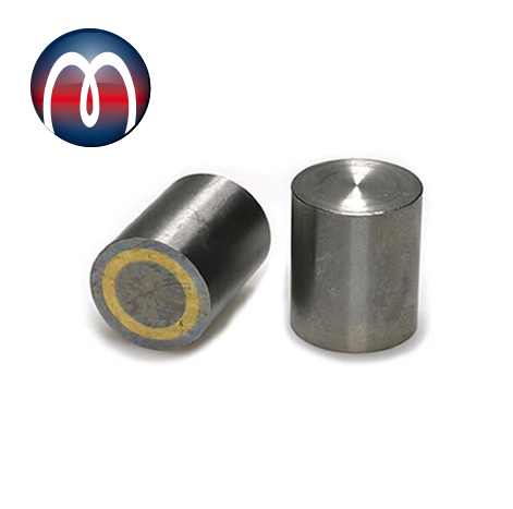 Neodimio Magnete cilindrico Ø 10 mm x 16 mm con base con tolleranza h6, alloggiamento in acciaio - tiene 2,4 kg