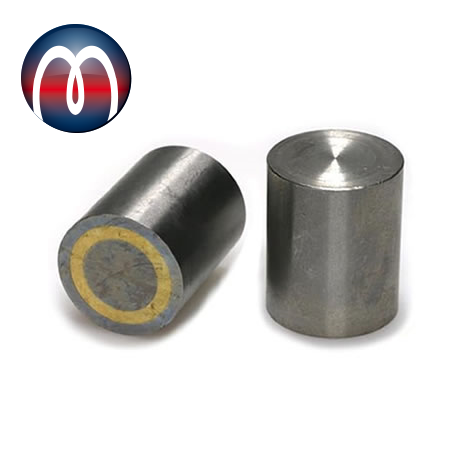 Aimant cylindrique acier tolérance d'ajustement H6 Ø 20 mm x 25 mm