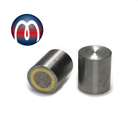 Aimant cylindrique acier tolérance d'ajustement H6 Ø 8 mm x 12 mm