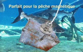 TOP 10 des Découvertes réalisées en Pêche à l'Aimant  Nous avons regroupé  un top 10 des plus belles découvertes réalisées en pêche à l'aimant. Bien  entendu ce top n'est pas exhaustif