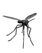 Magnetic Fly Screen