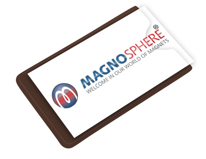 Set of 30 Whiteboard Eeoyu Magnetic Label Holders with Magnets Magnetic Data Card Holders with Clear Plastic Protectors for Metal Shelf 0.5 x 2 Inch 